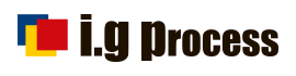 I.G Process